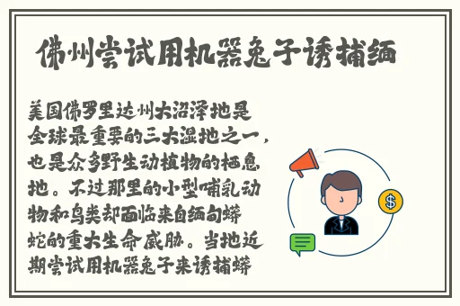 舔女生的小花园免费高清视频